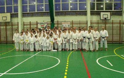 Dr. Ilija Jorga Seminar – Hungary 2010