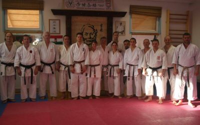 Dr. Ilija Jorga Seminar – Hungary 2014